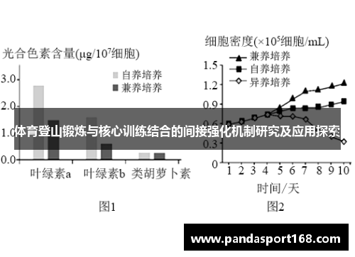 体育登山锻炼与核心训练结合的间接强化机制研究及应用探索