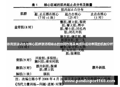 体育游泳训练与核心肌群激活相结合的协同作用及其提升运动表现的机制分析